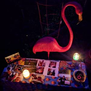 Fundraising Page: Fantastic Flamingos